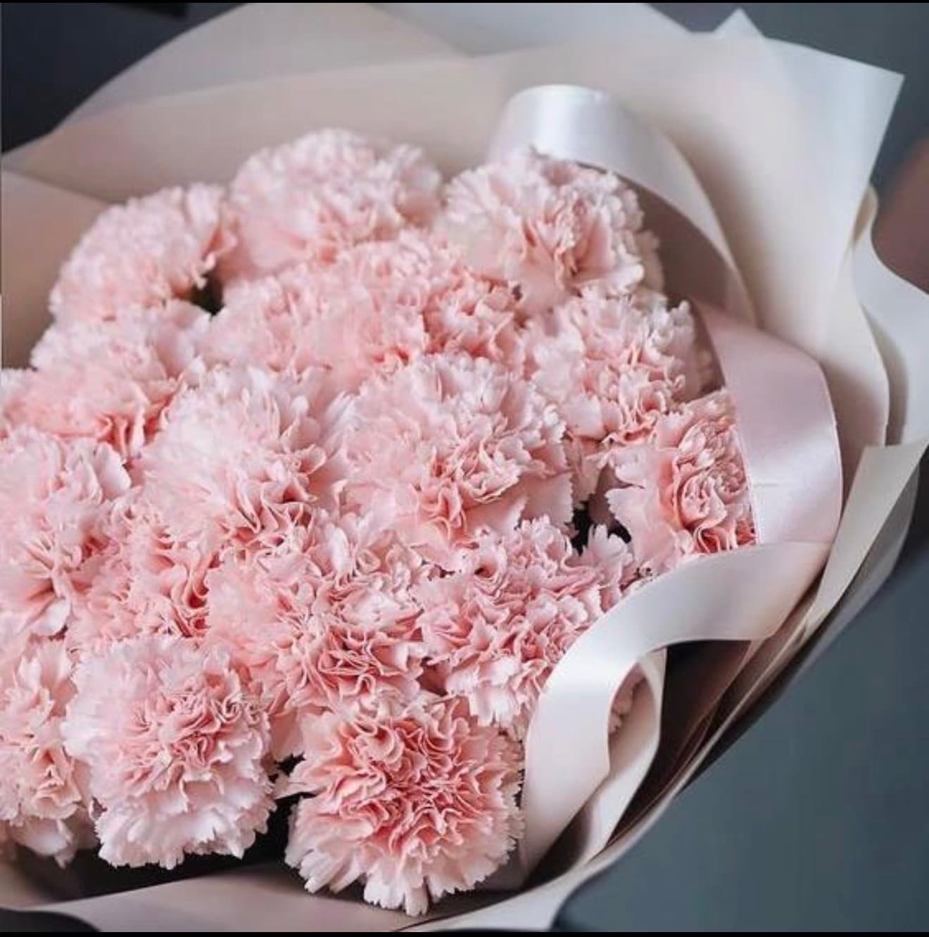 Ballet Pink Carnation Bouquet