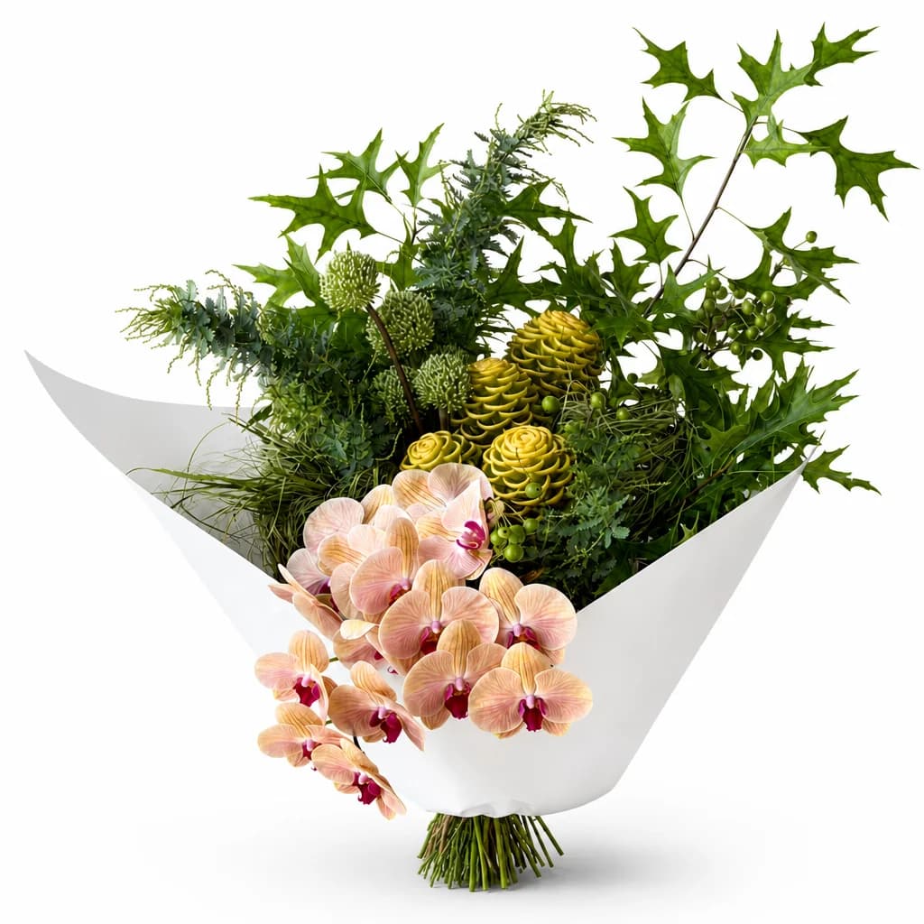 The Botanical Statement